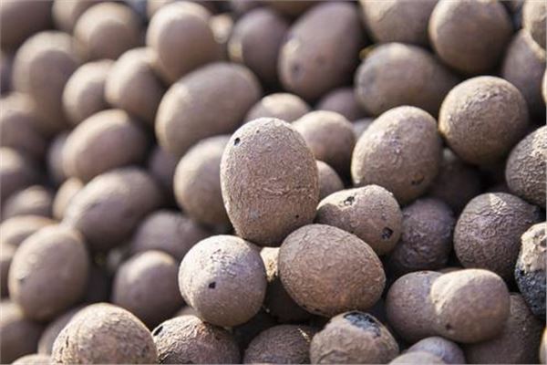 泡沫混凝土與陶粒混凝土性能對比